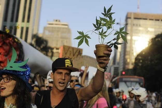 Persuasive essay on should marijuana be legalized
